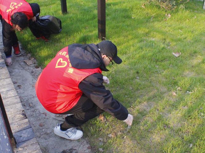 汇聚志愿红 守护生态绿